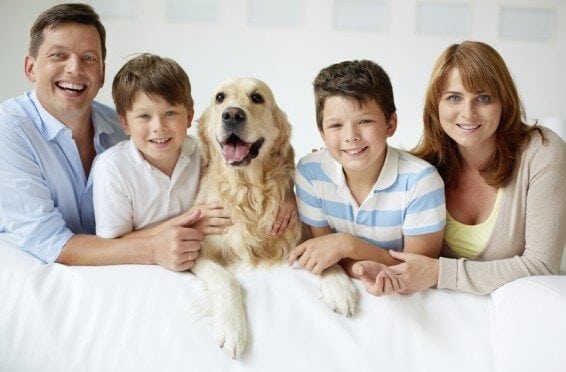 A happy family consisting of a mother, father, two boys, and their golden retriever, all smiling and sitting together on a white sofa.