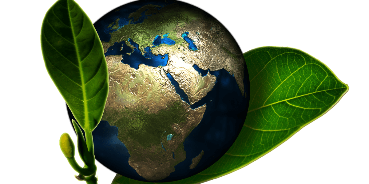 A realistic illustration of Earth cradled by a vibrant green leaf, symbolizing environmental care, set against a dark background.