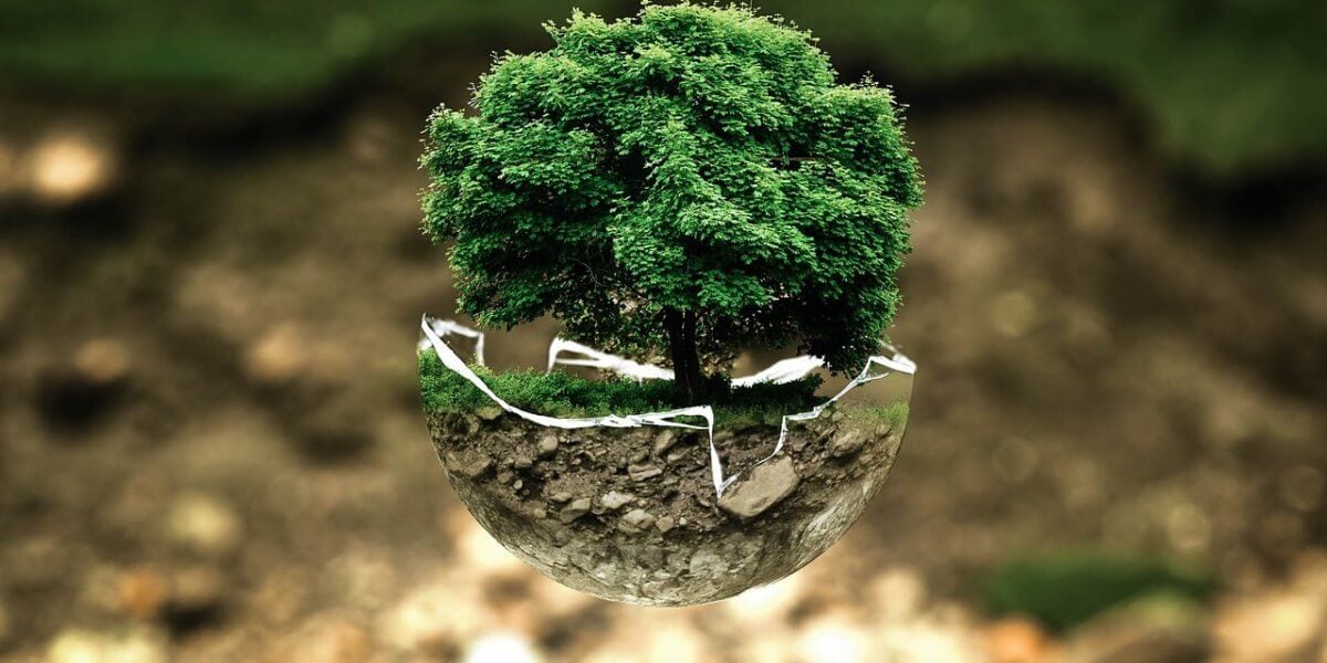 A small, lush green tree growing on a floating clump of earth, with a hammock tied between two branches, set against a blurred natural background.