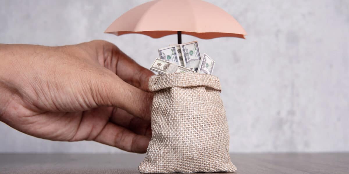 Hand holding umbrella protecting bag of money.